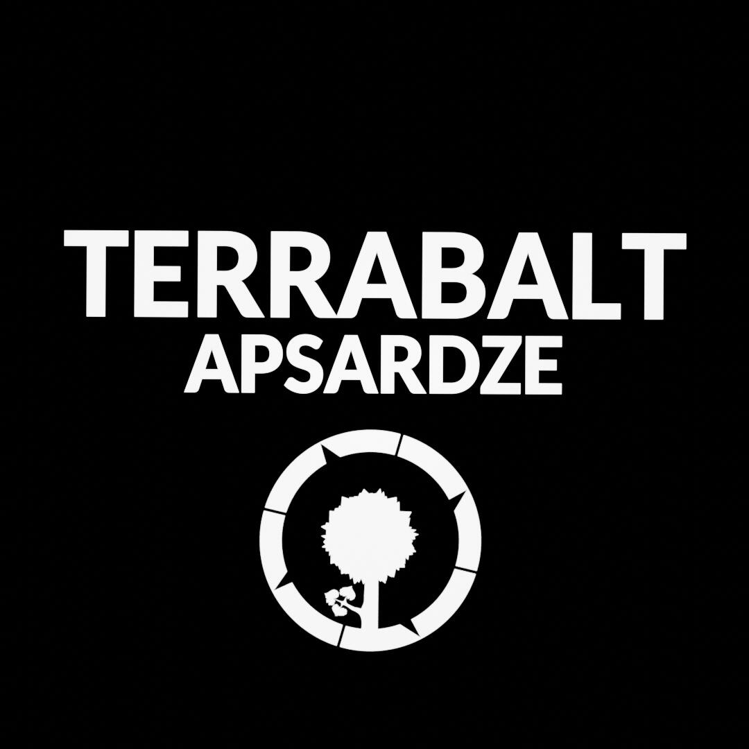 Logo design for security company